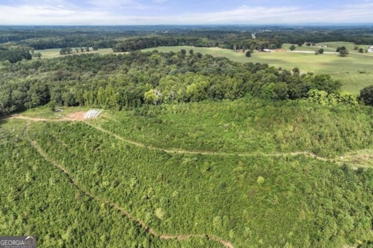 Picture of Residential Land For Sale in Carnesville, Georgia, United States