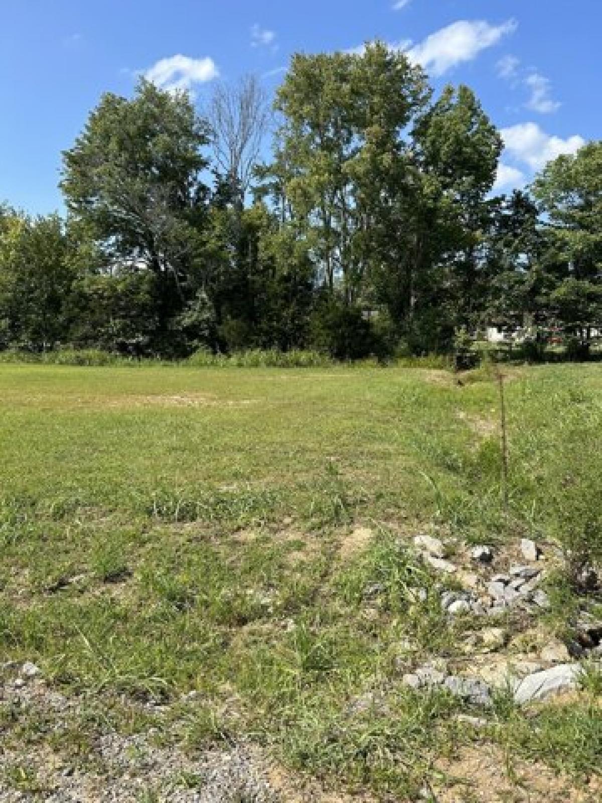 Picture of Residential Land For Sale in Lafayette, Tennessee, United States