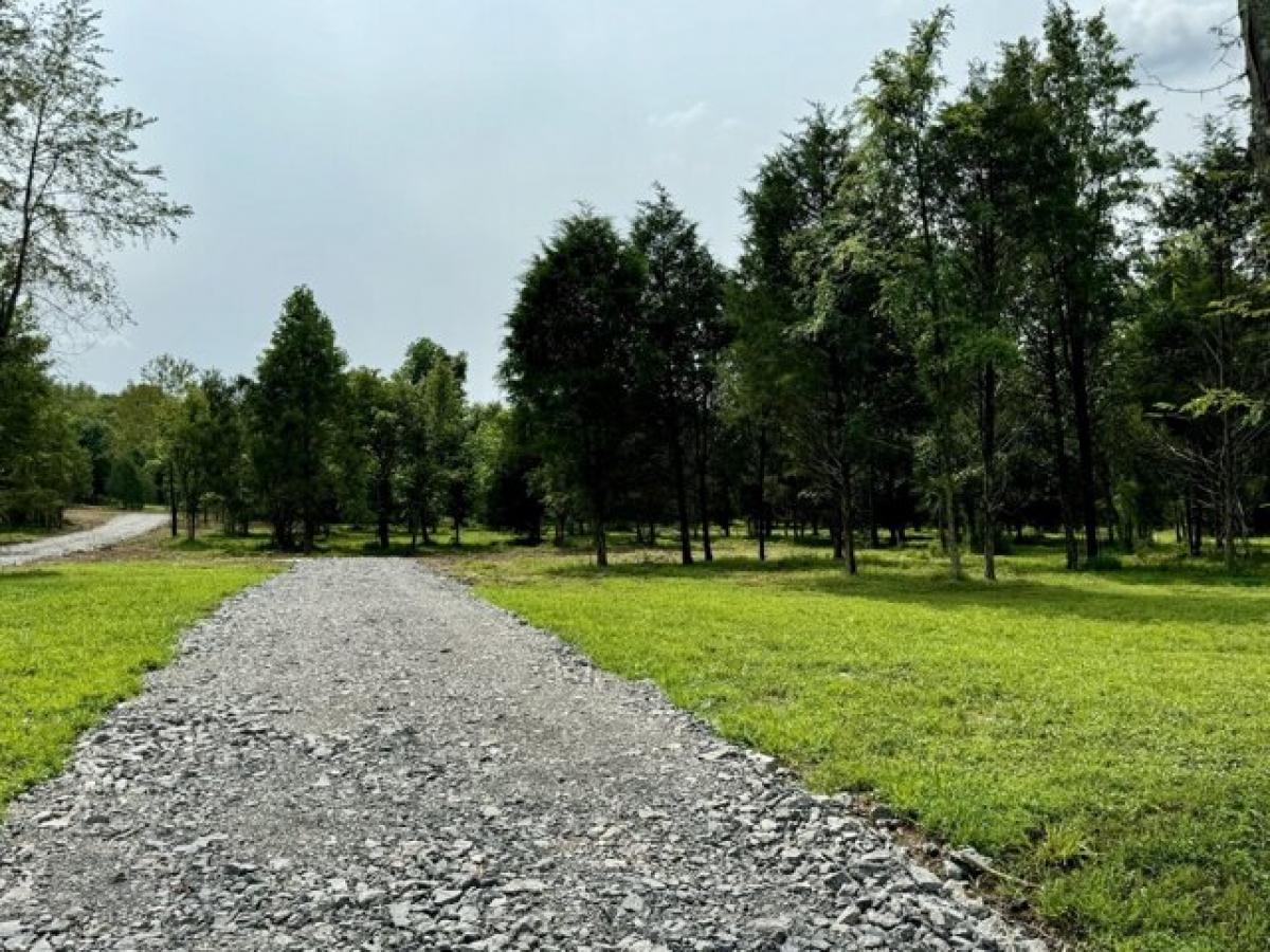 Picture of Residential Land For Sale in Castalian Springs, Tennessee, United States