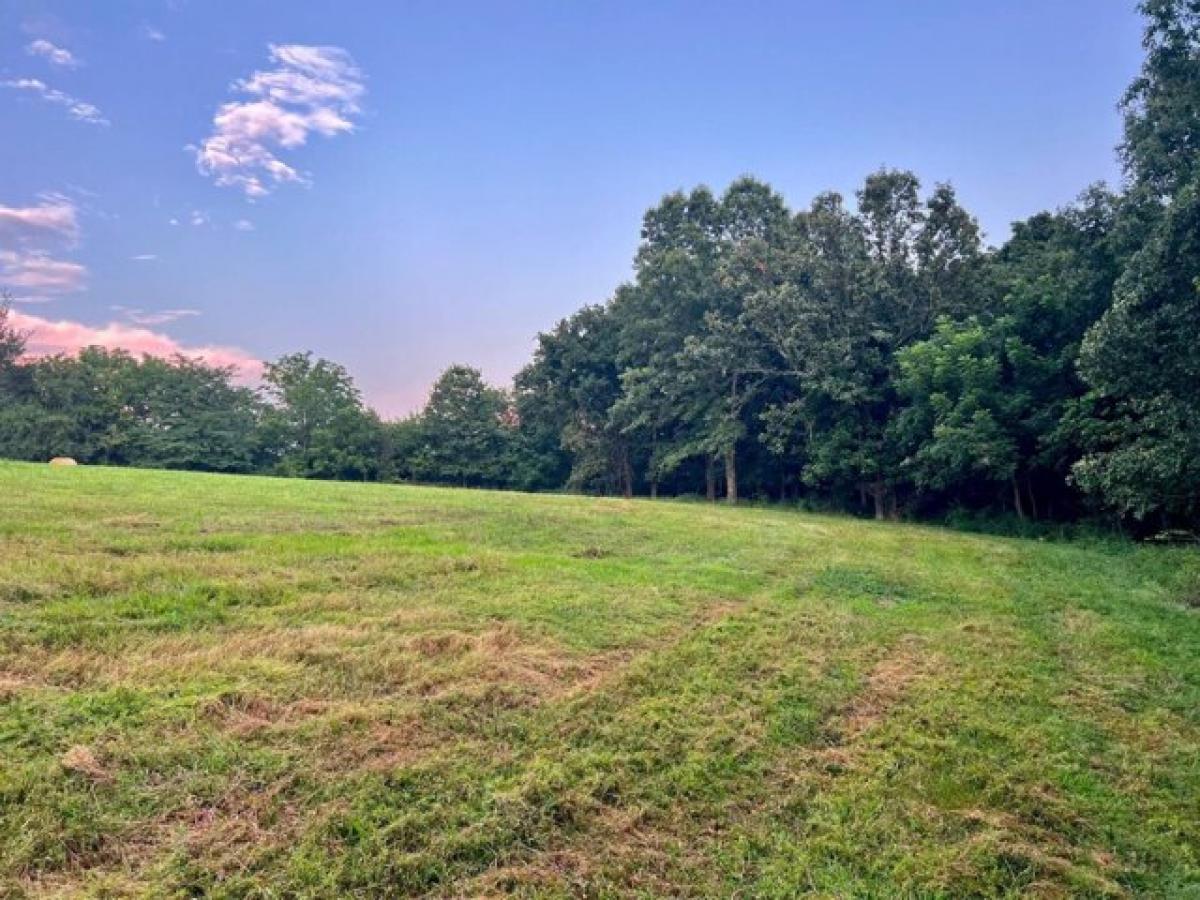 Picture of Residential Land For Sale in Aurora, Missouri, United States