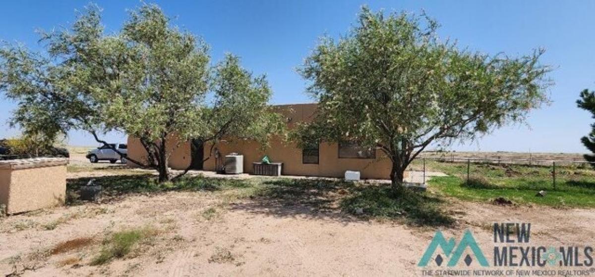 Picture of Home For Sale in Hagerman, New Mexico, United States