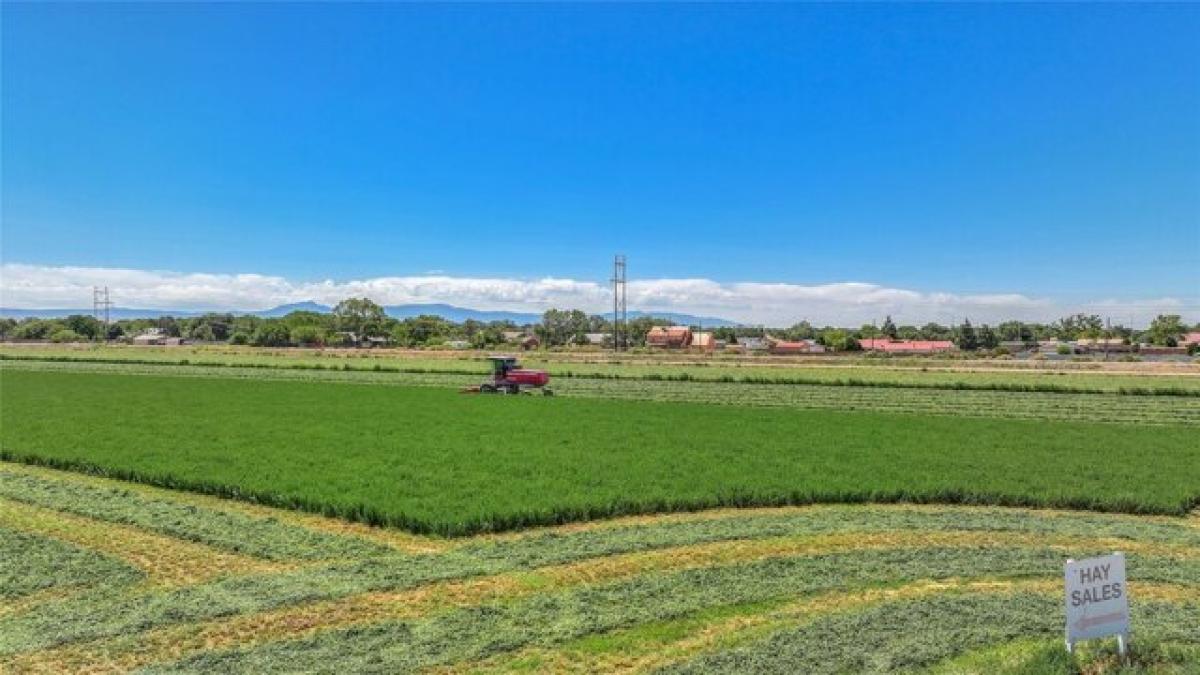 Picture of Residential Land For Sale in Albuquerque, New Mexico, United States