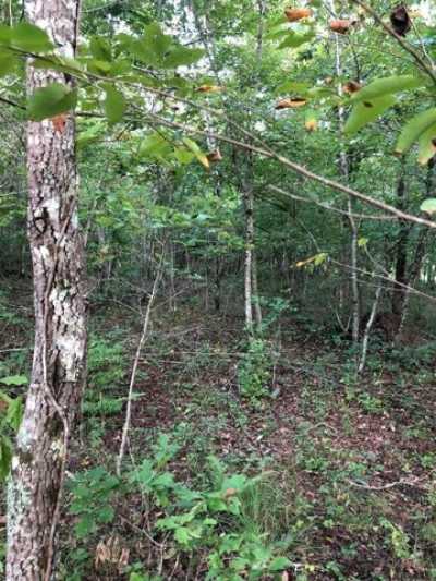 Residential Land For Rent in Crossville, Tennessee