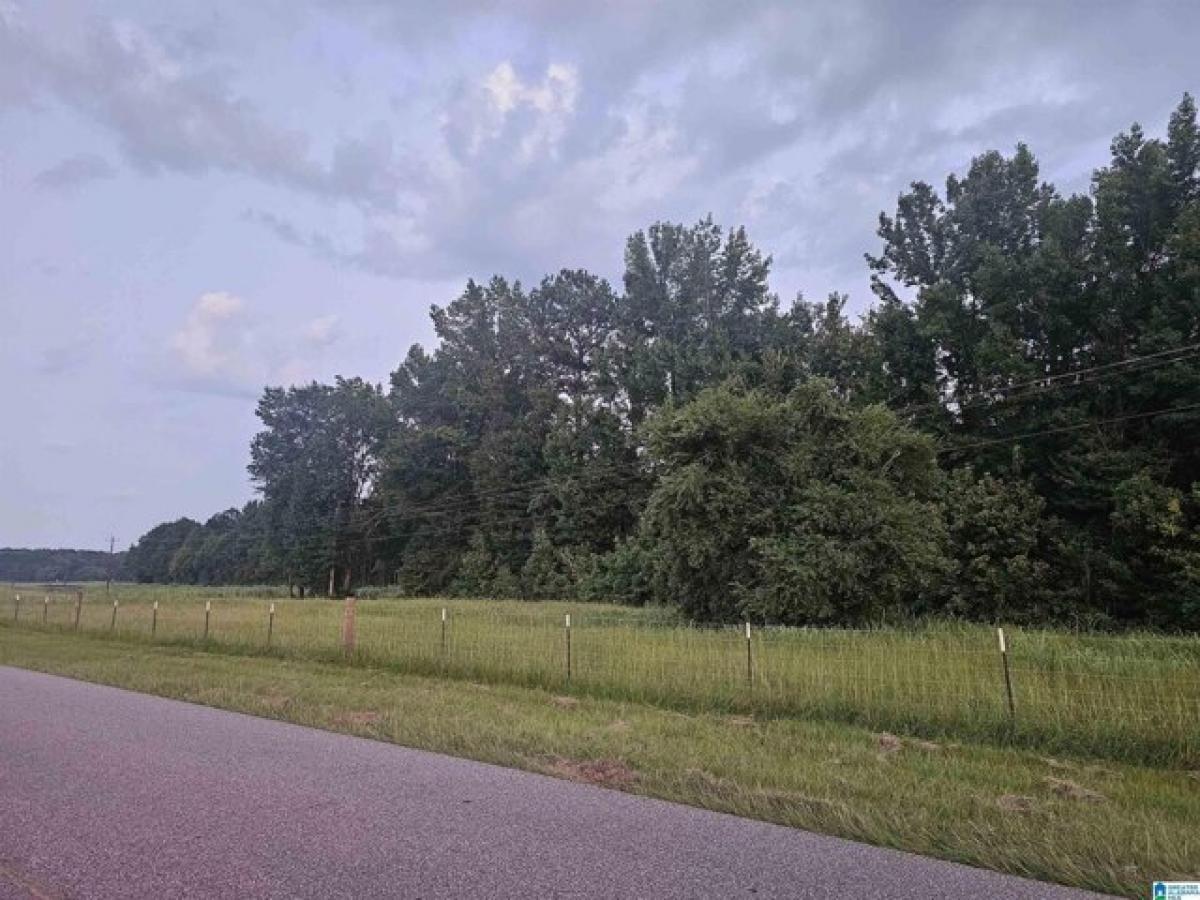 Picture of Residential Land For Sale in Clanton, Alabama, United States