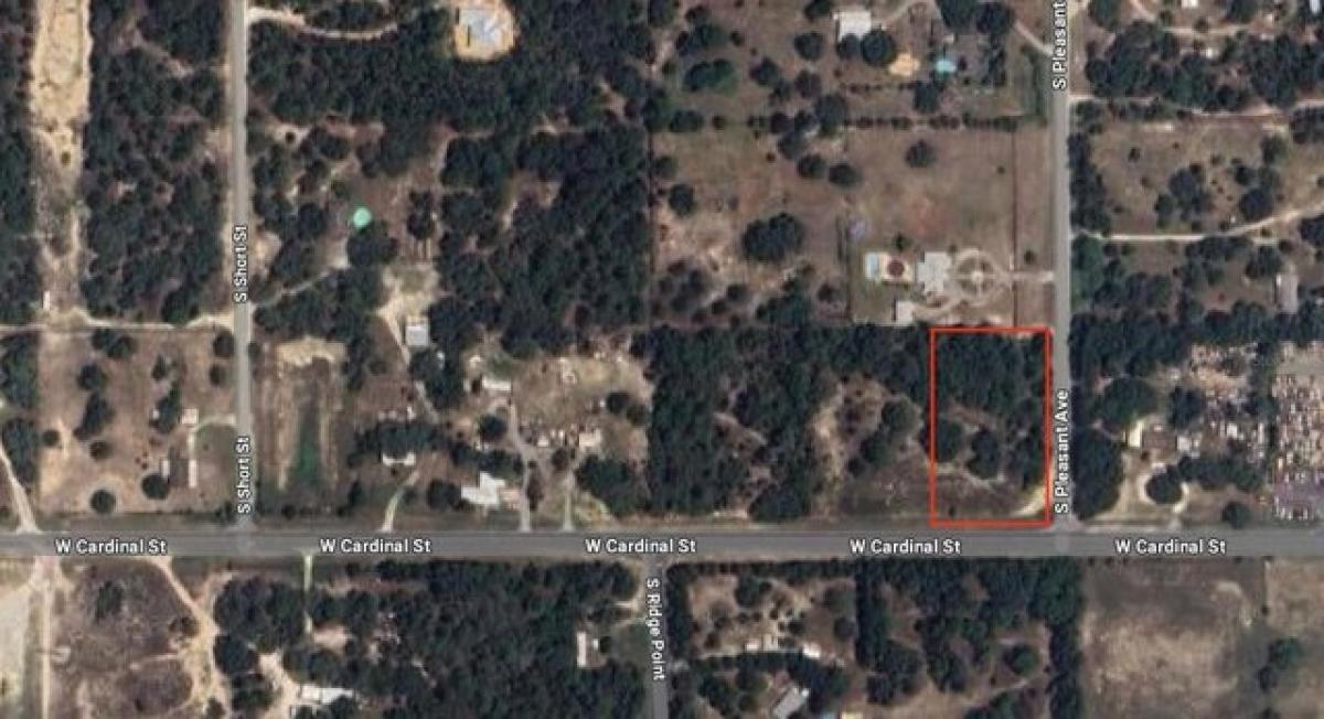 Picture of Residential Land For Sale in Homosassa, Florida, United States