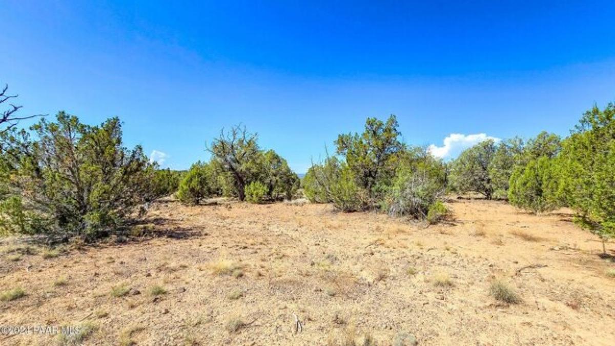 Picture of Residential Land For Sale in Ash Fork, Arizona, United States