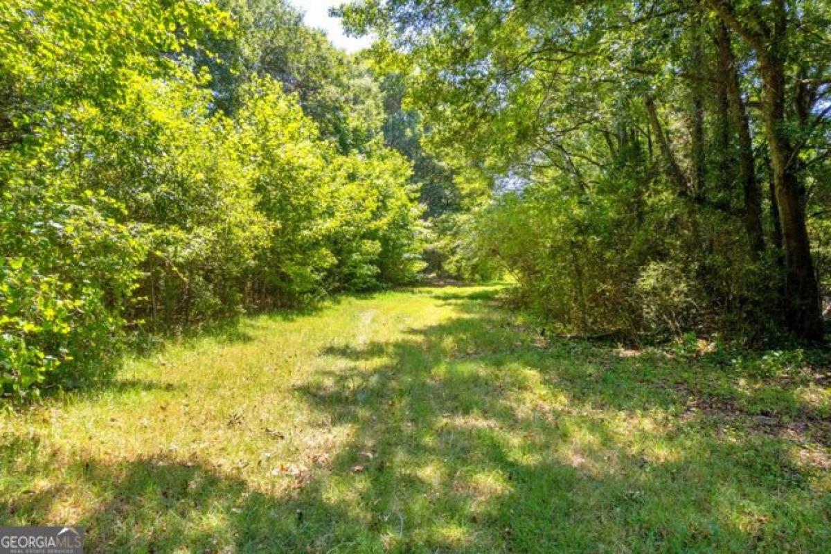 Picture of Residential Land For Sale in Lavonia, Georgia, United States