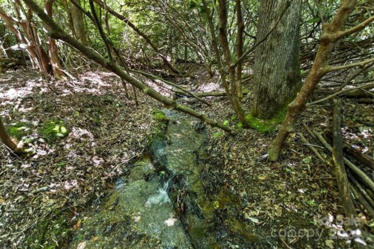 Picture of Residential Land For Sale in Horse Shoe, North Carolina, United States