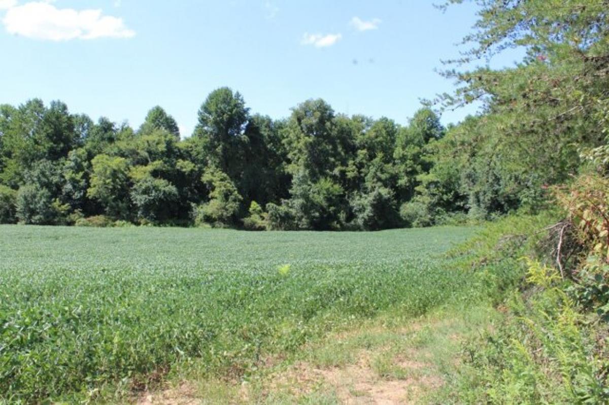 Picture of Residential Land For Sale in Mcminnville, Tennessee, United States