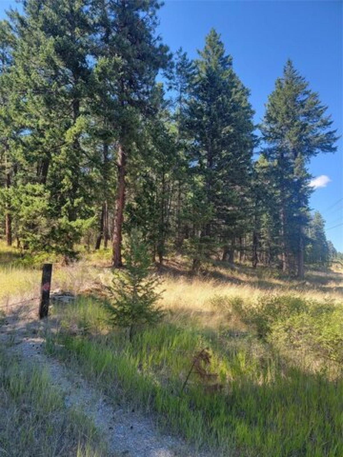 Picture of Residential Land For Sale in Rollins, Montana, United States