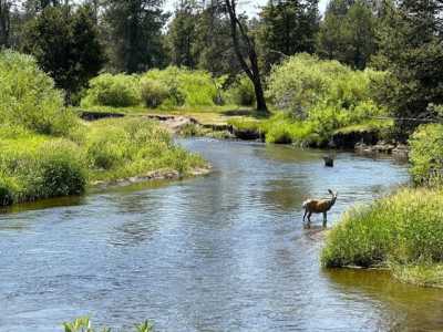 Residential Land For Sale in La Pine, Oregon