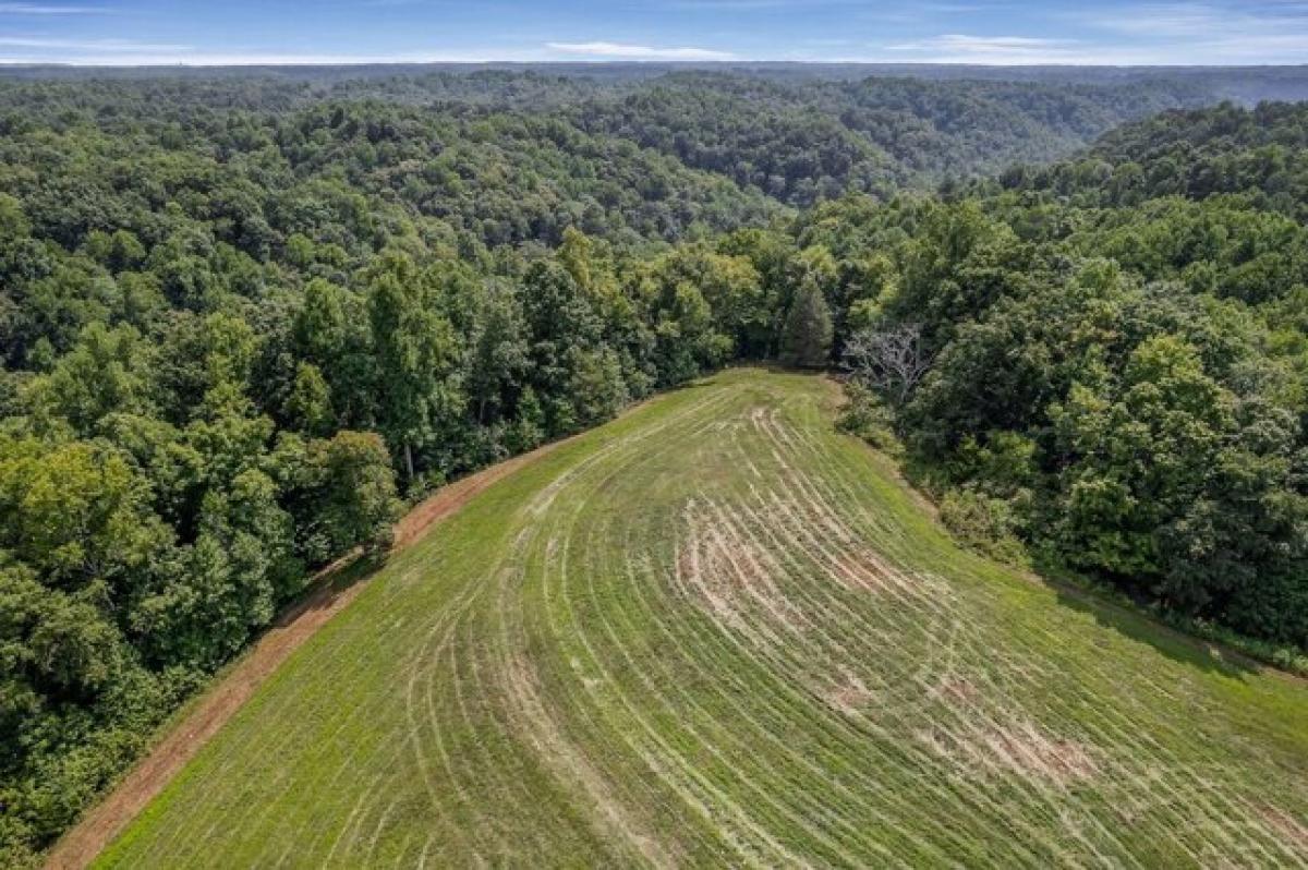 Picture of Home For Sale in Bloomington Springs, Tennessee, United States