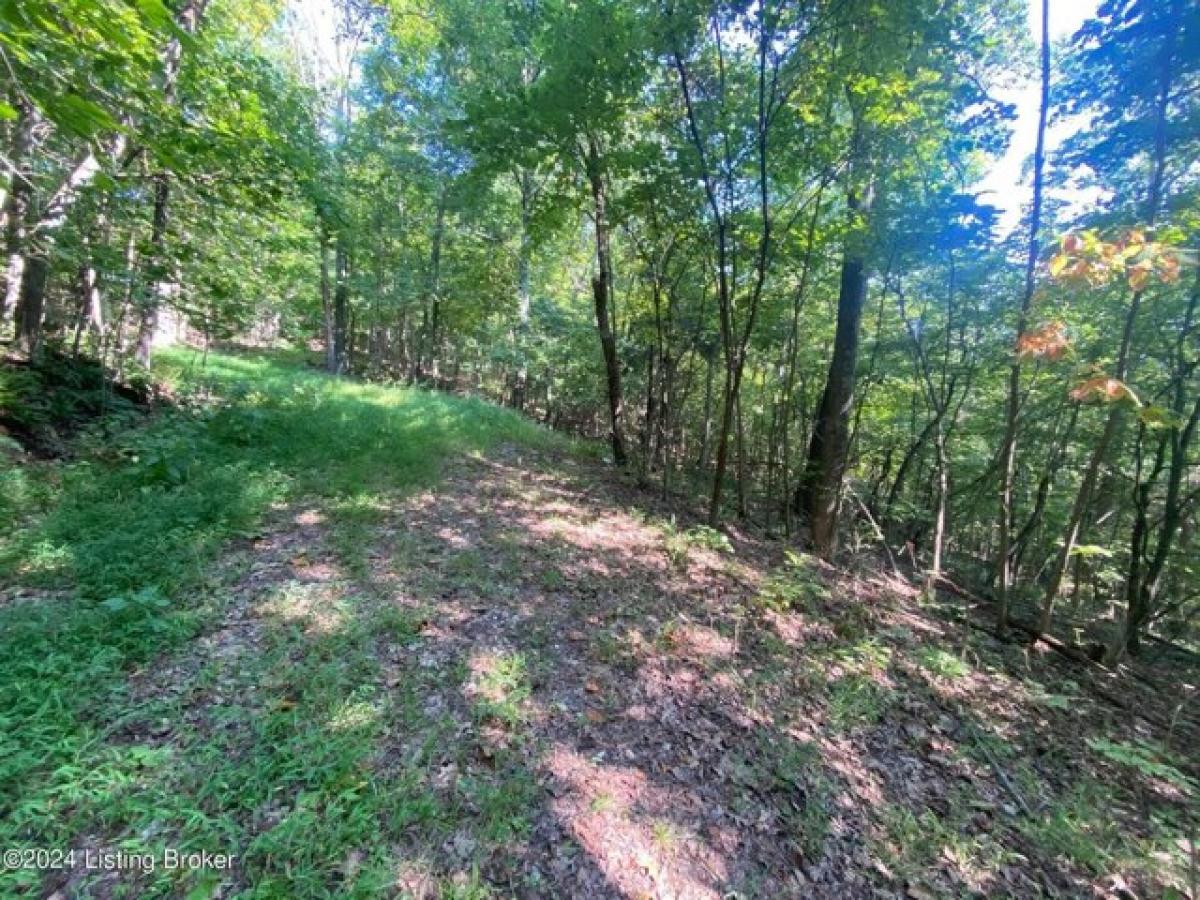 Picture of Residential Land For Sale in Harned, Kentucky, United States