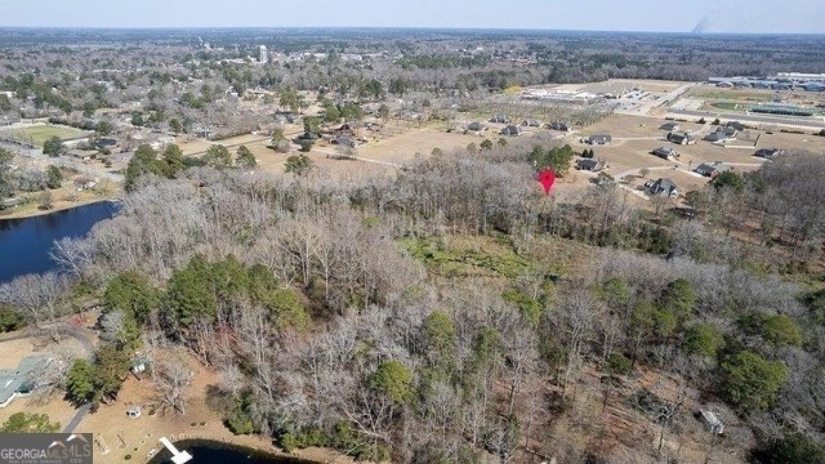 Picture of Residential Land For Sale in Claxton, Georgia, United States