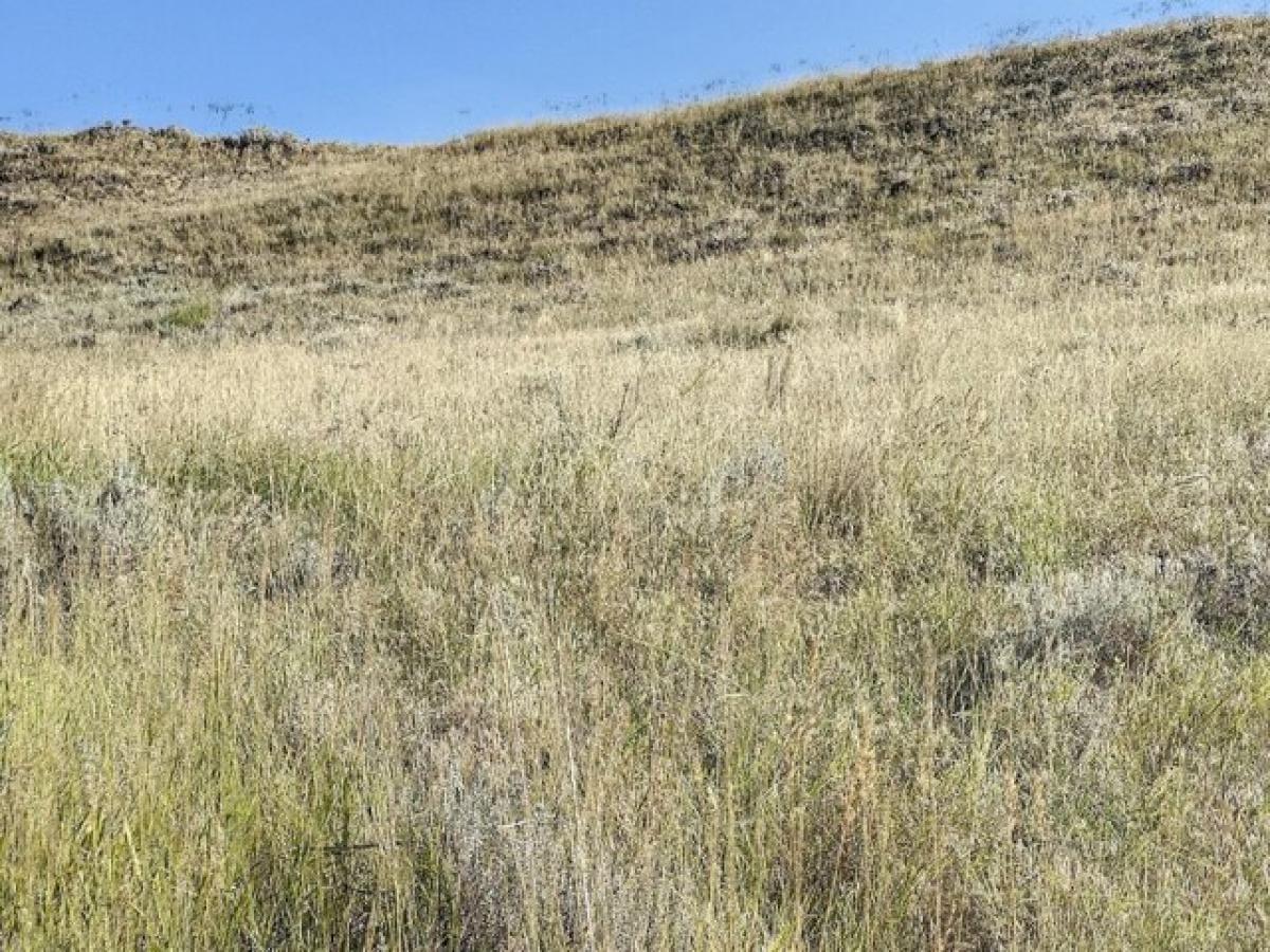 Picture of Residential Land For Sale in Buffalo, Wyoming, United States