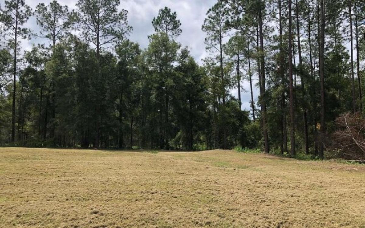 Picture of Residential Land For Sale in Wellborn, Florida, United States