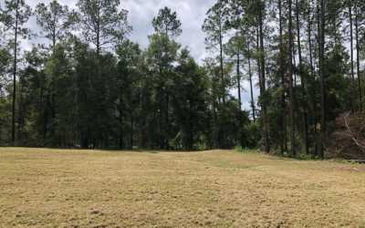 Residential Land For Sale in Wellborn, Florida