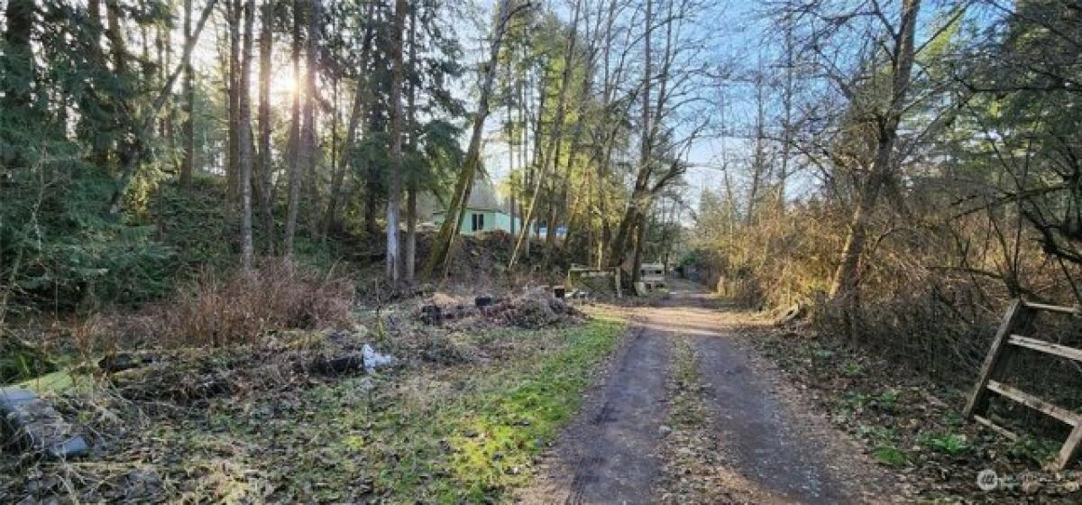 Picture of Residential Land For Sale in Yelm, Washington, United States