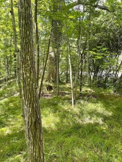 Residential Land For Sale in Mount Morris, New York