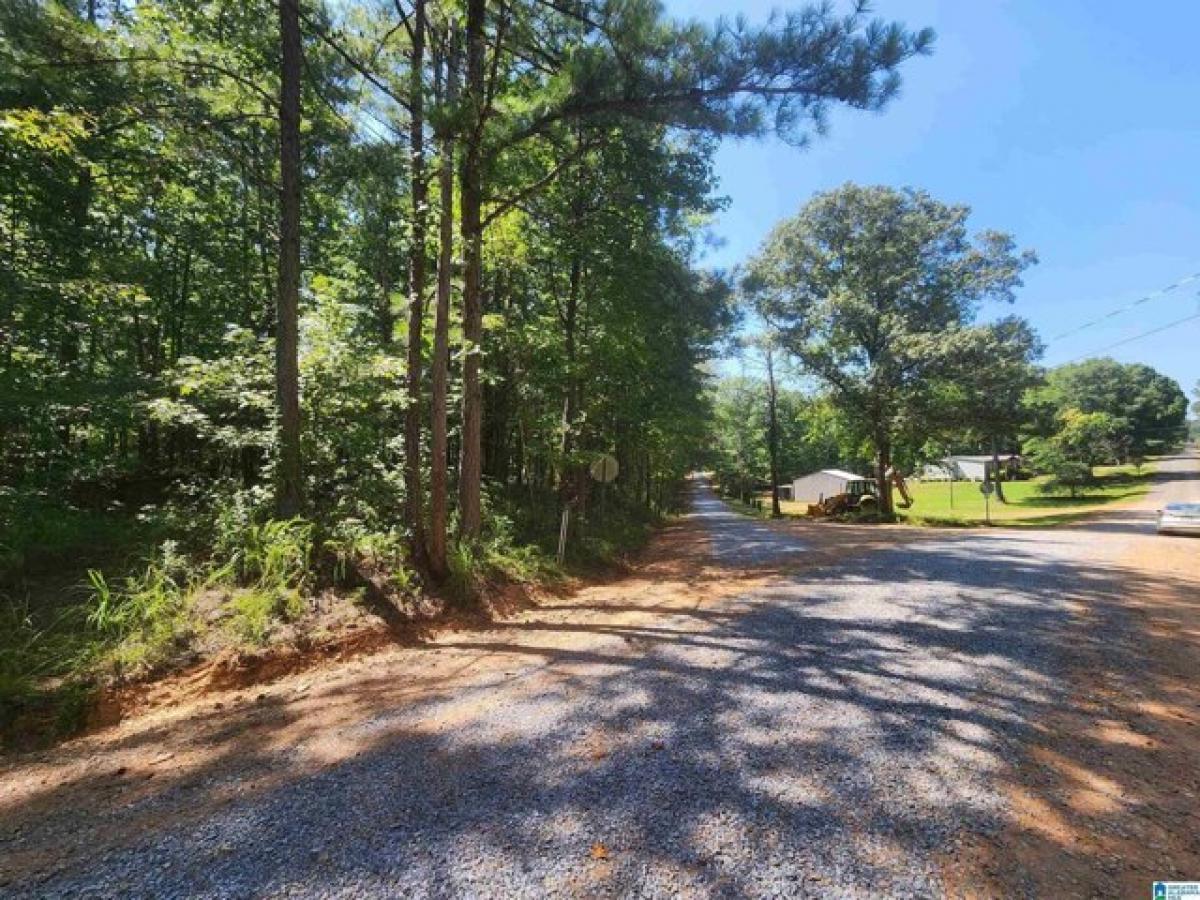 Picture of Residential Land For Sale in Sylacauga, Alabama, United States