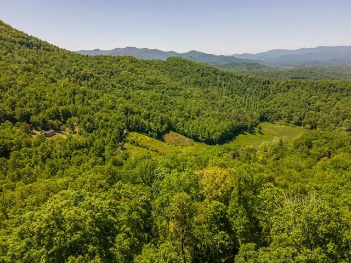 Picture of Residential Land For Sale in Franklin, North Carolina, United States