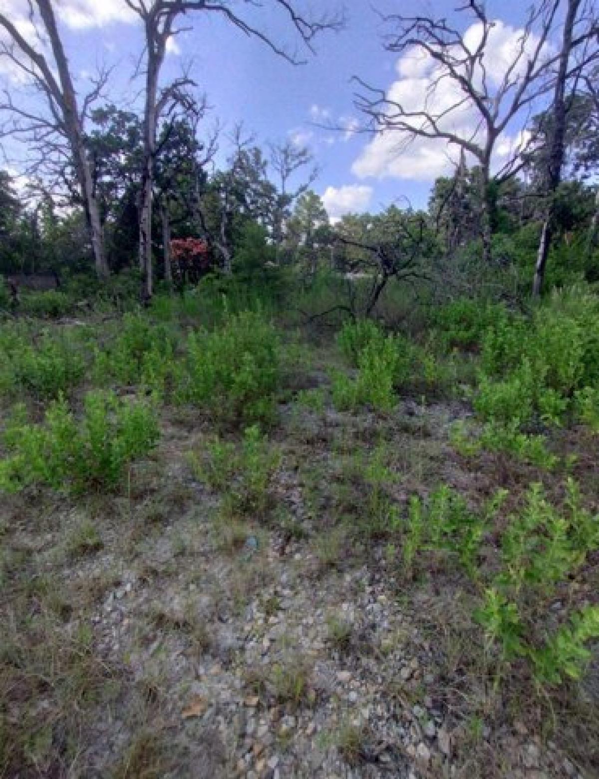 Picture of Residential Land For Sale in Murchison, Texas, United States