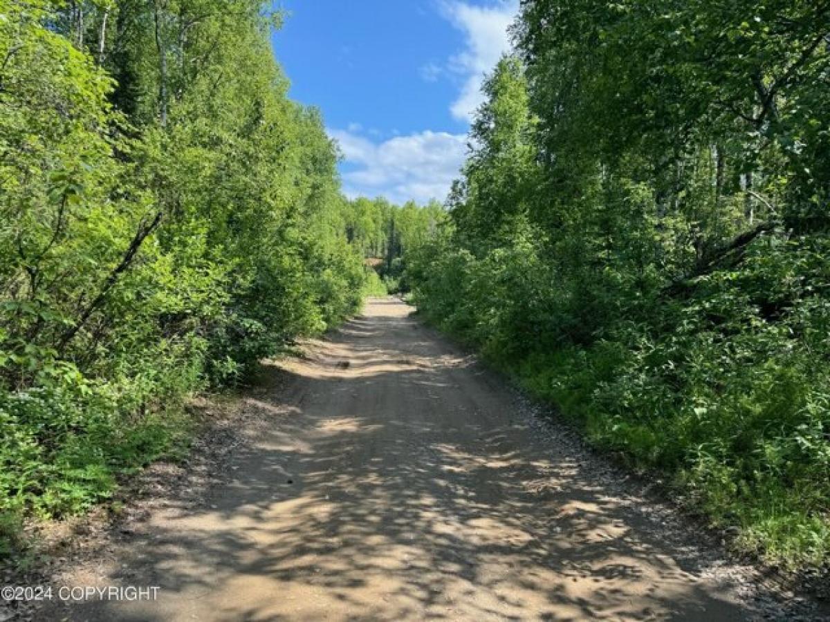 Picture of Residential Land For Sale in Willow, Alaska, United States