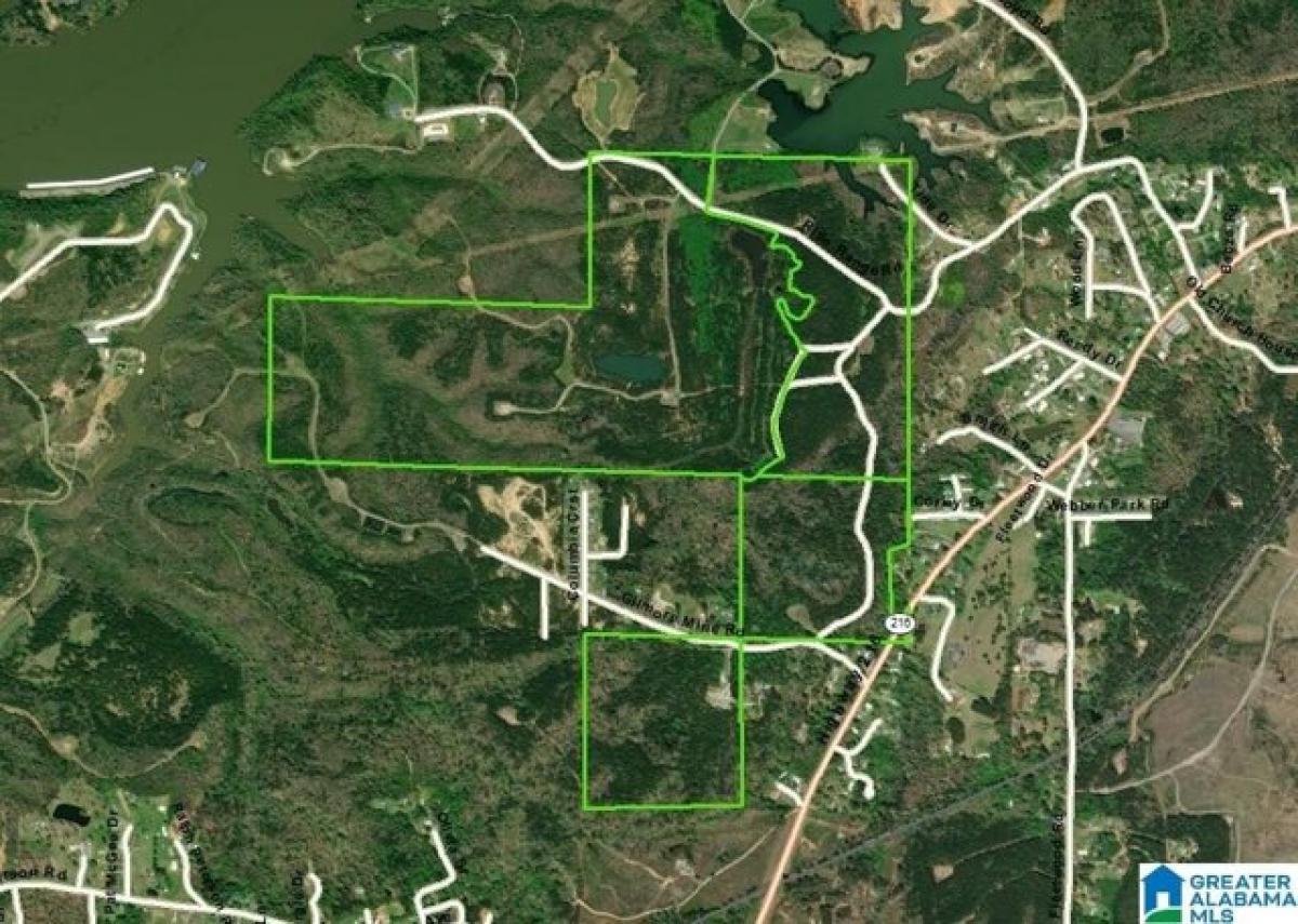 Picture of Residential Land For Sale in Cottondale, Alabama, United States