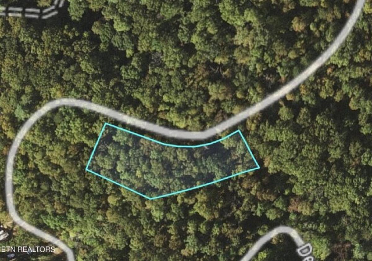 Picture of Residential Land For Sale in Cosby, Tennessee, United States