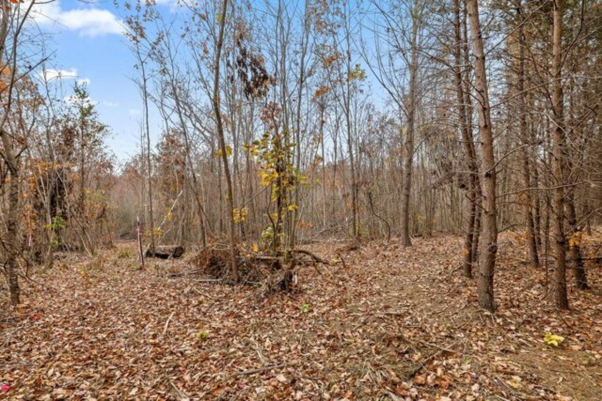 Picture of Residential Land For Sale in Signal Mountain, Tennessee, United States