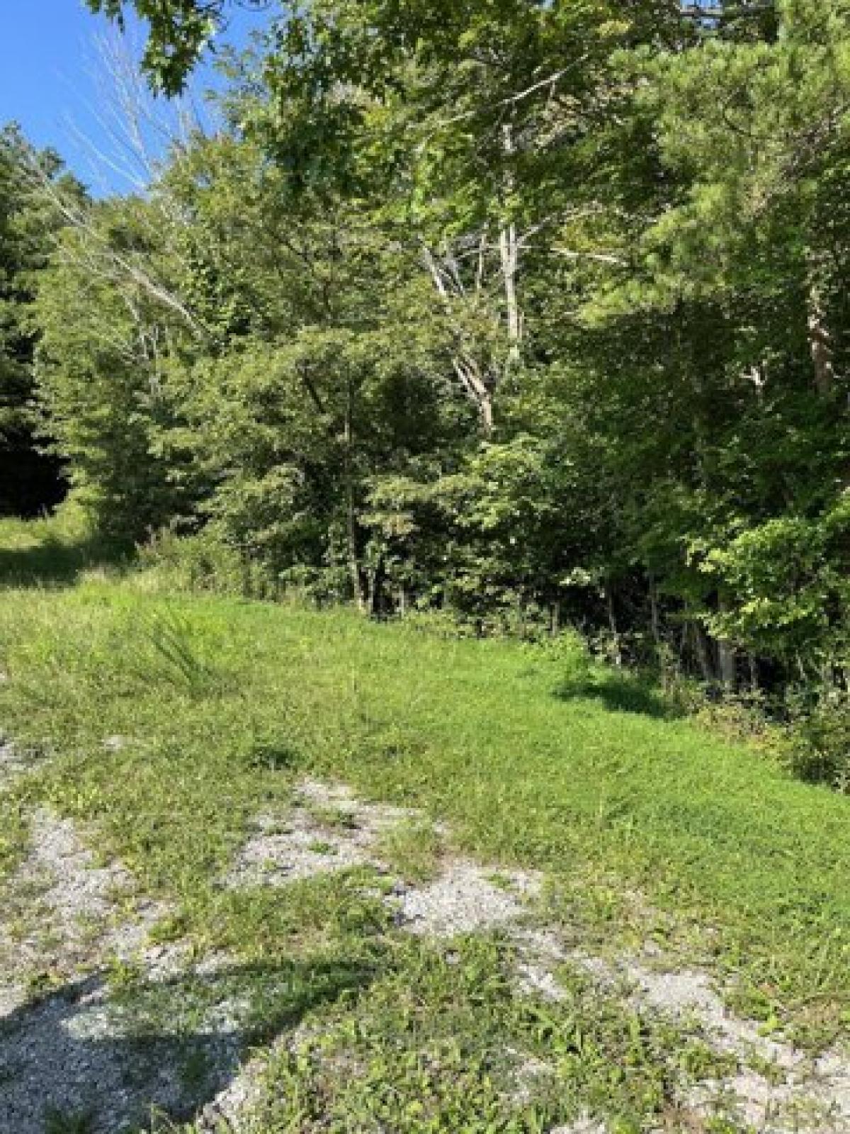 Picture of Residential Land For Sale in Williamsburg, Kentucky, United States