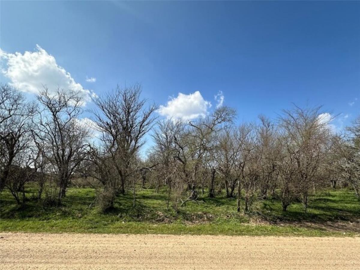 Picture of Residential Land For Sale in Sealy, Texas, United States