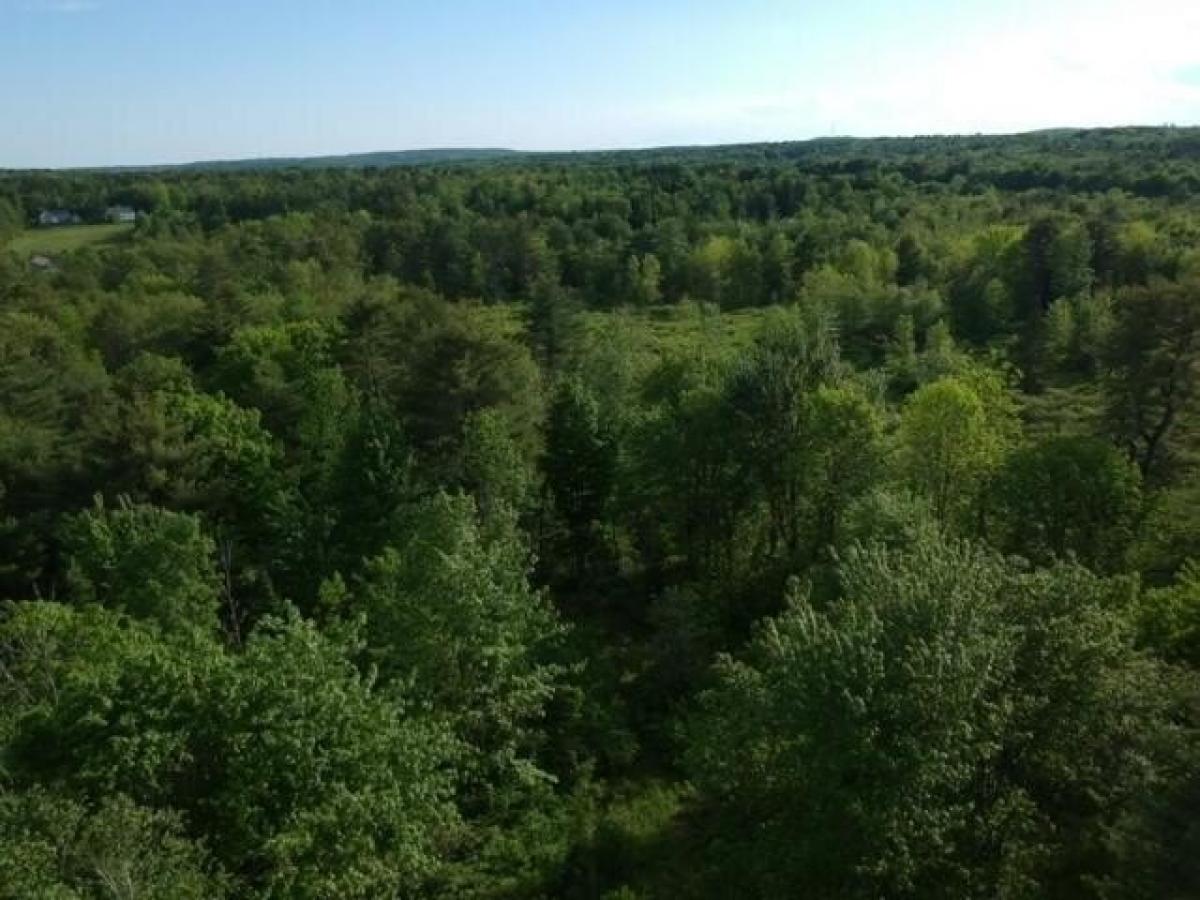 Picture of Residential Land For Sale in Chelsea, Maine, United States