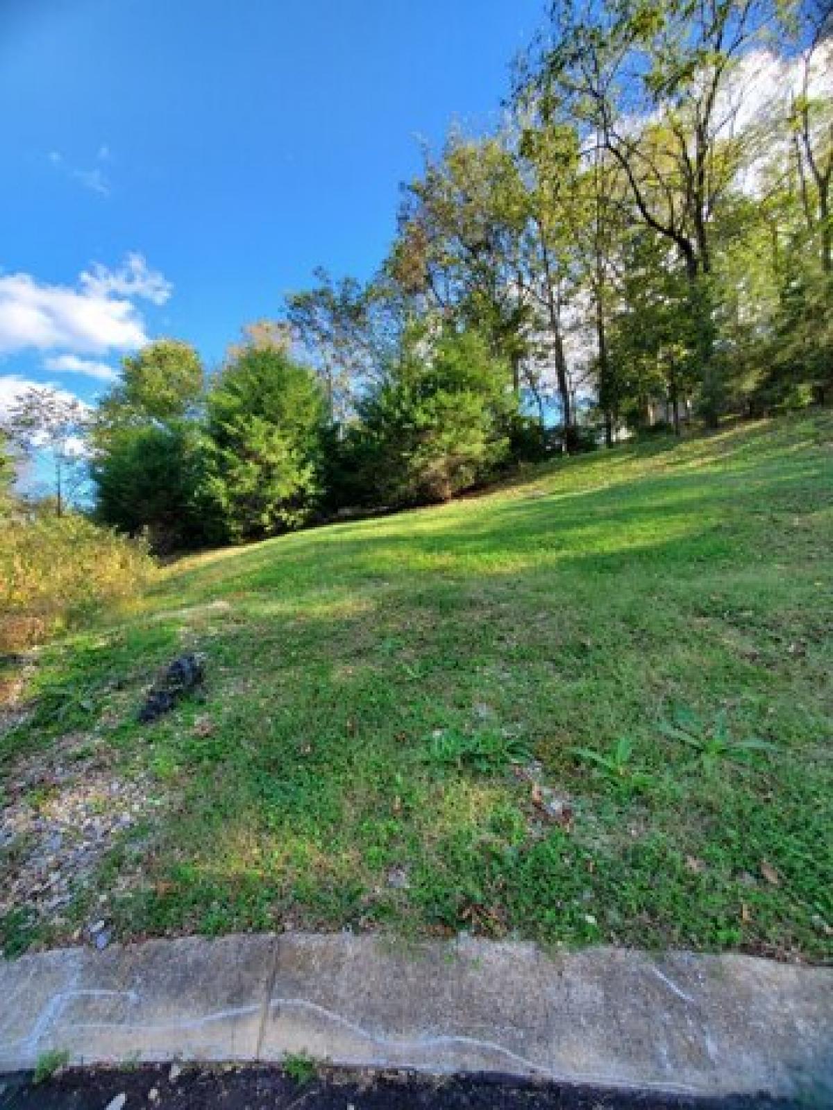 Picture of Residential Land For Sale in Goodlettsville, Tennessee, United States