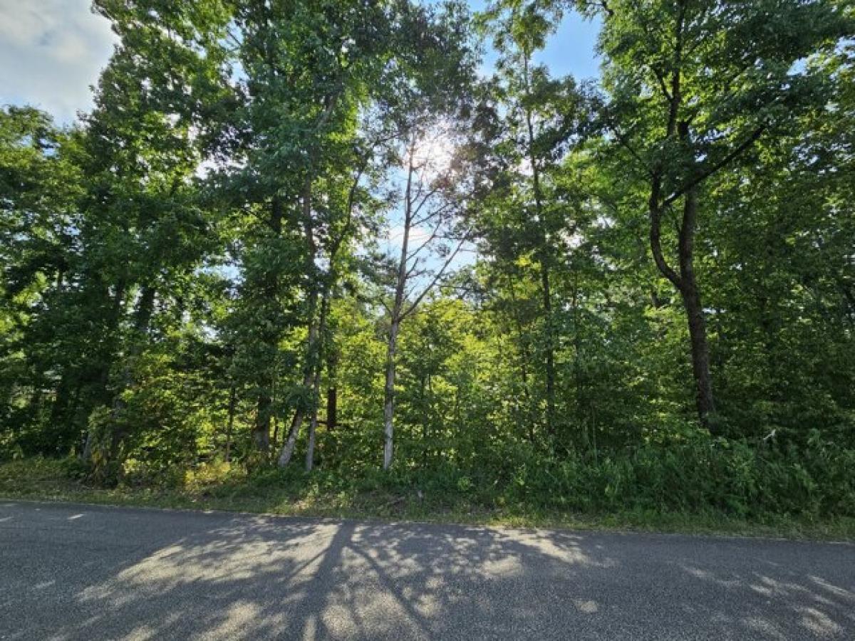 Picture of Residential Land For Sale in Sugar Tree, Tennessee, United States