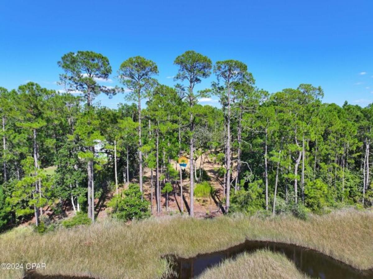 Picture of Residential Land For Sale in Panama City, Florida, United States