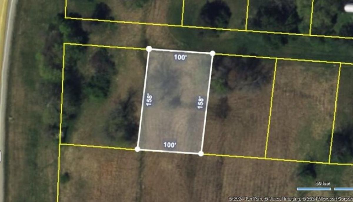 Picture of Residential Land For Sale in Livingston, Tennessee, United States