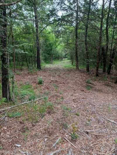 Residential Land For Sale in Point, Texas