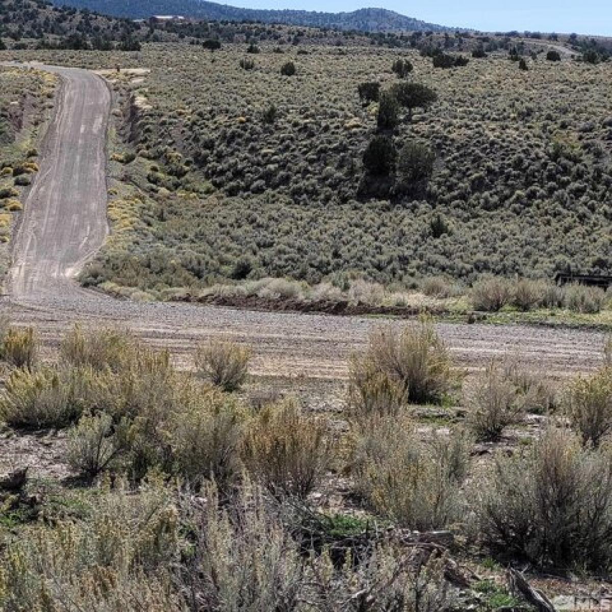 Picture of Residential Land For Sale in Battle Mountain, Nevada, United States