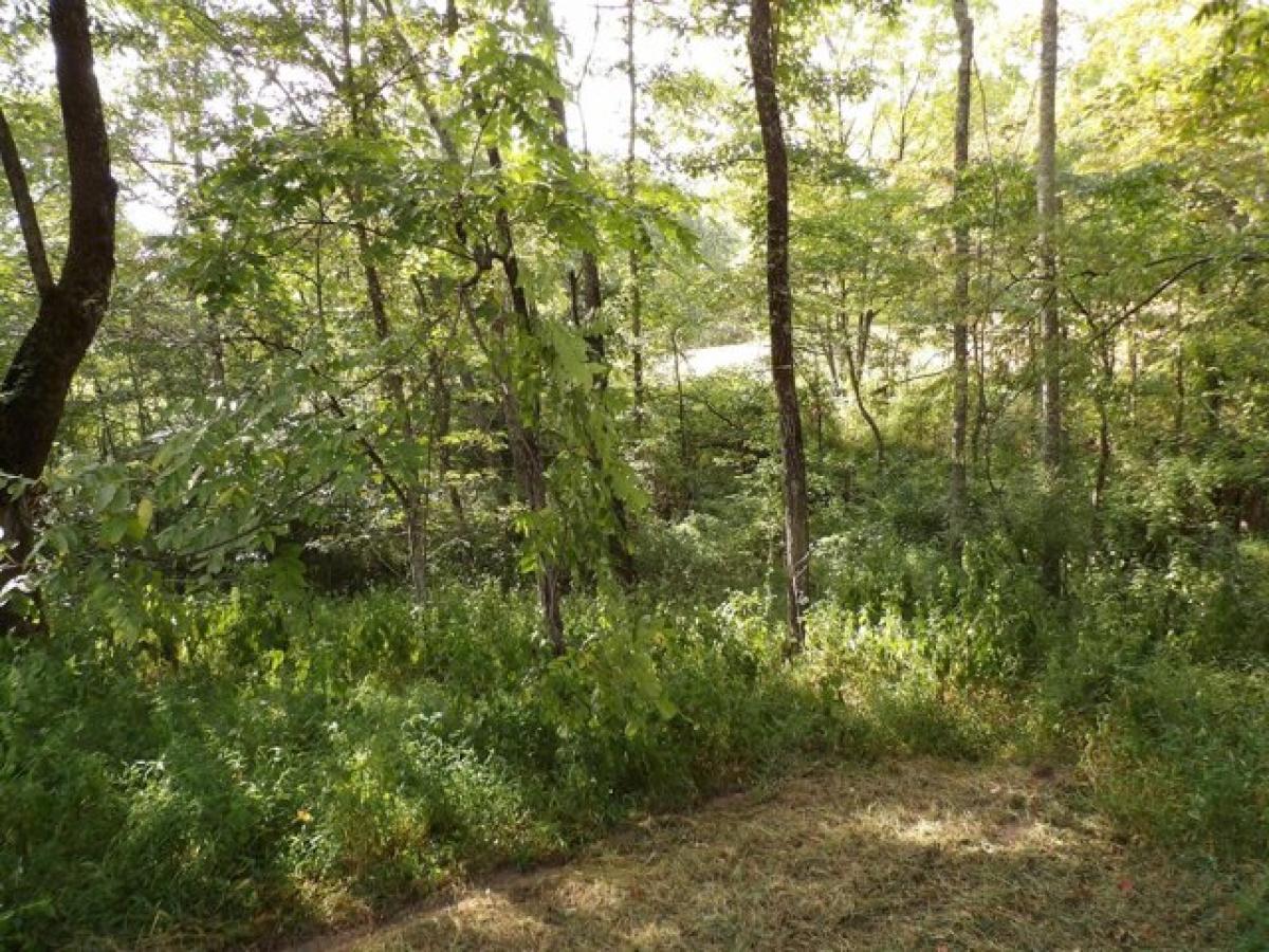 Picture of Residential Land For Sale in Pikeville, Tennessee, United States