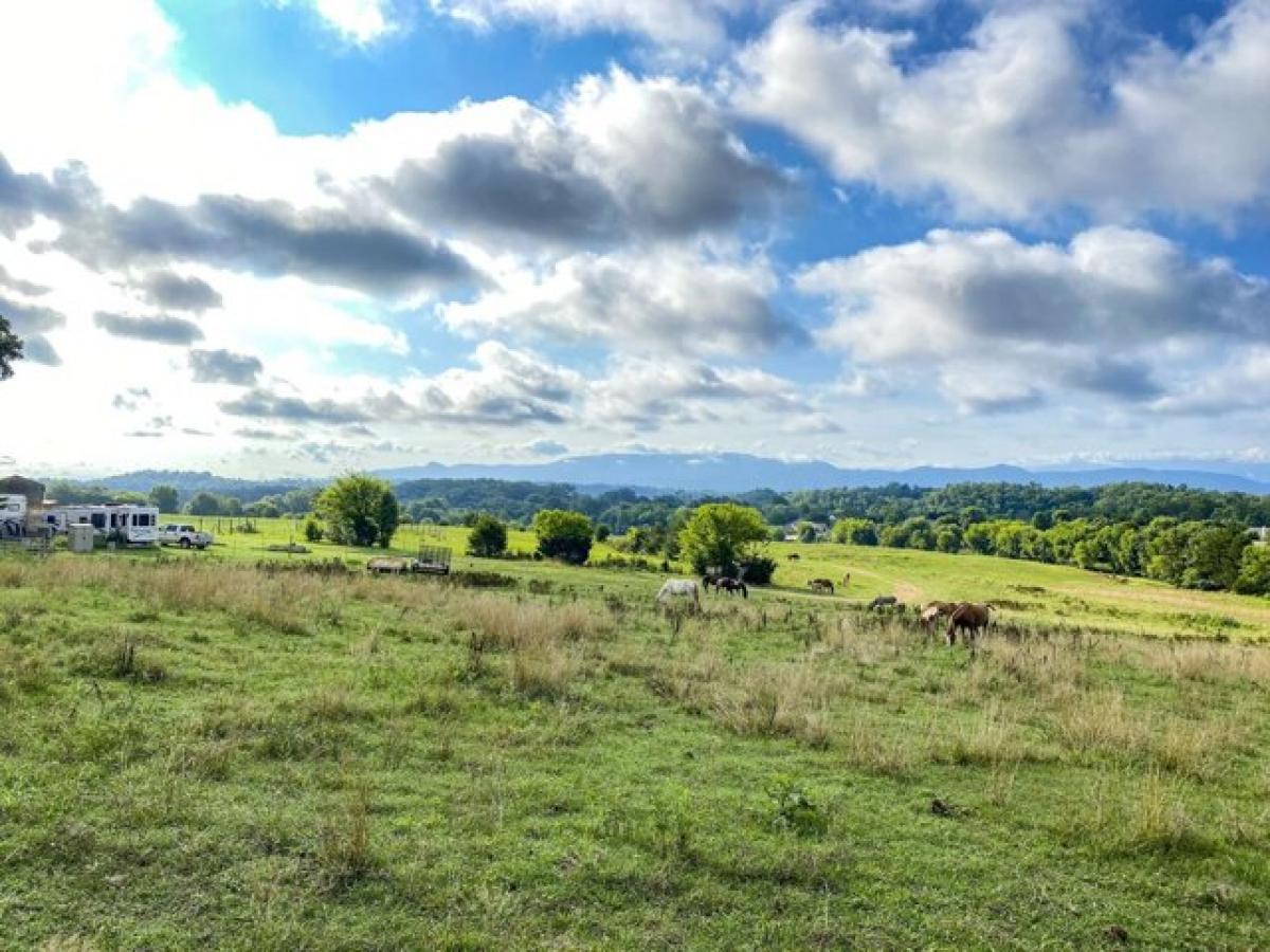 Picture of Residential Land For Sale in Dandridge, Tennessee, United States