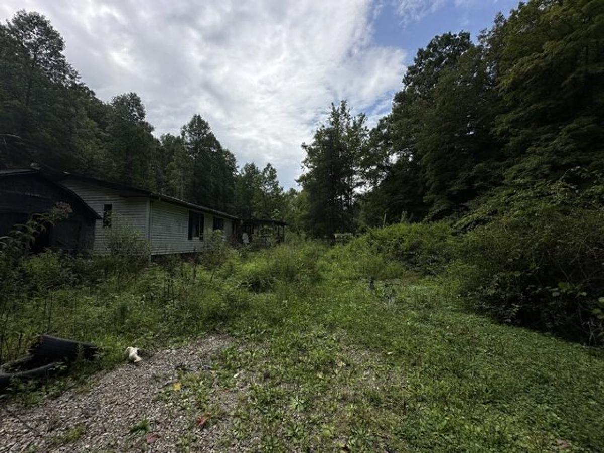 Picture of Residential Land For Sale in Beattyville, Kentucky, United States