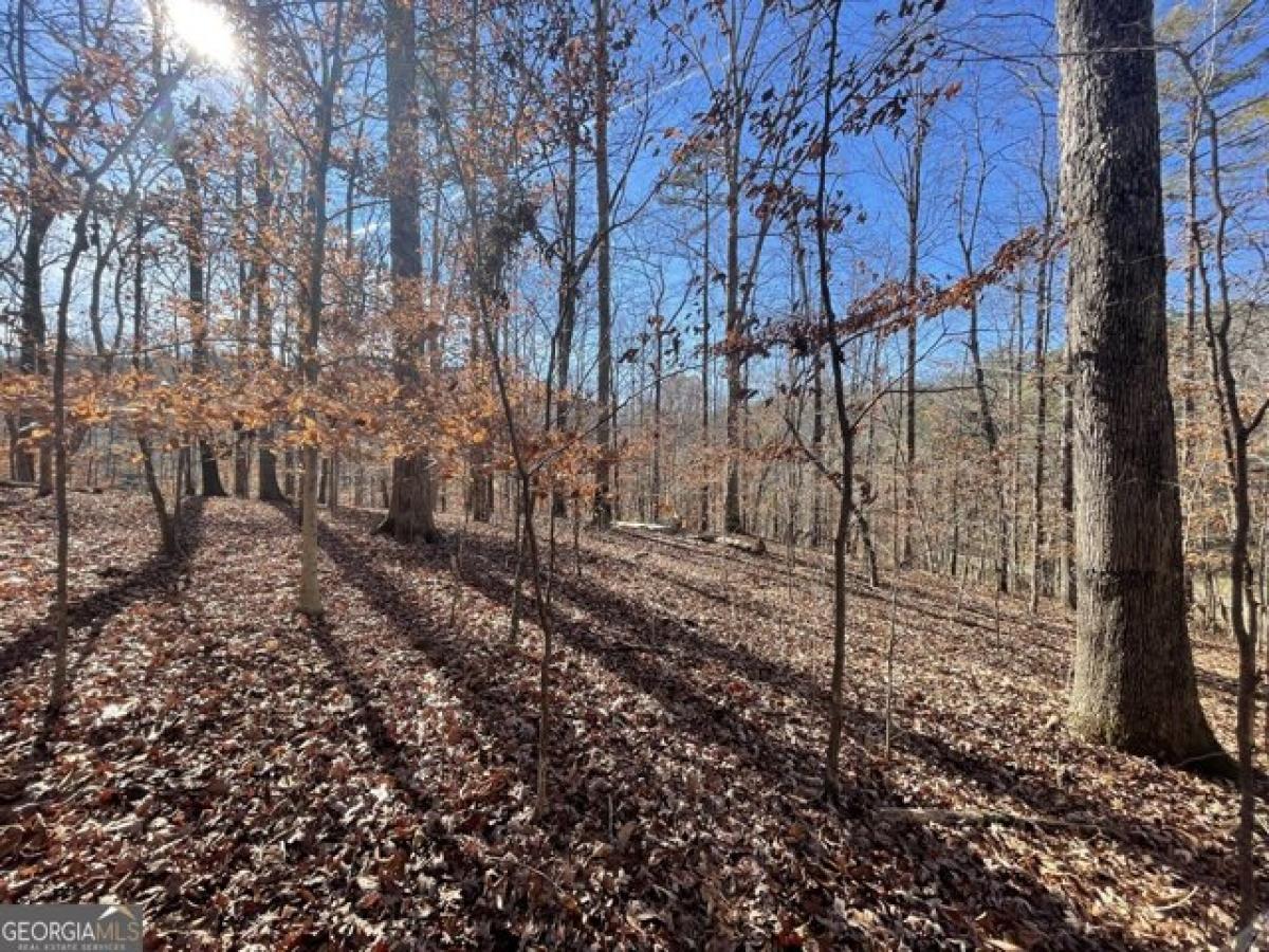 Picture of Residential Land For Sale in Douglasville, Georgia, United States