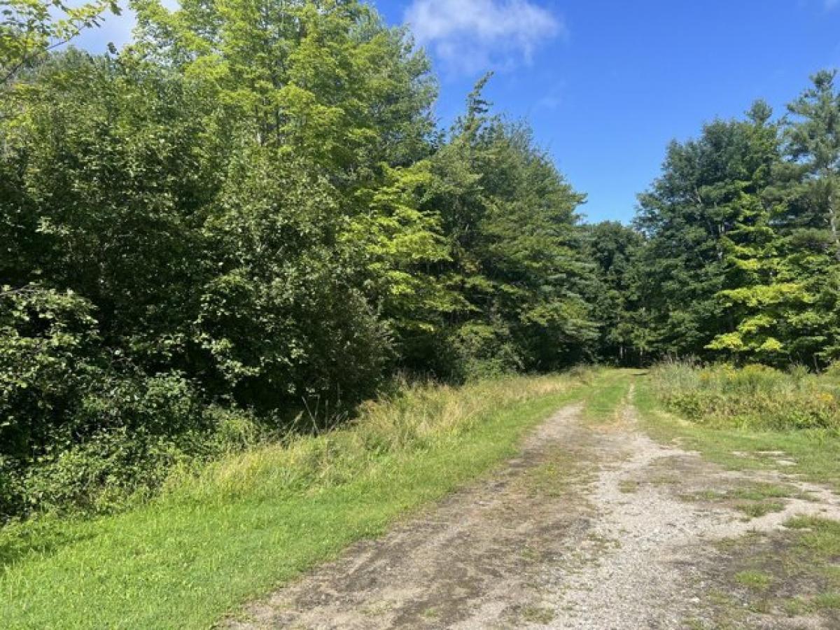 Picture of Residential Land For Sale in Lewiston, Maine, United States