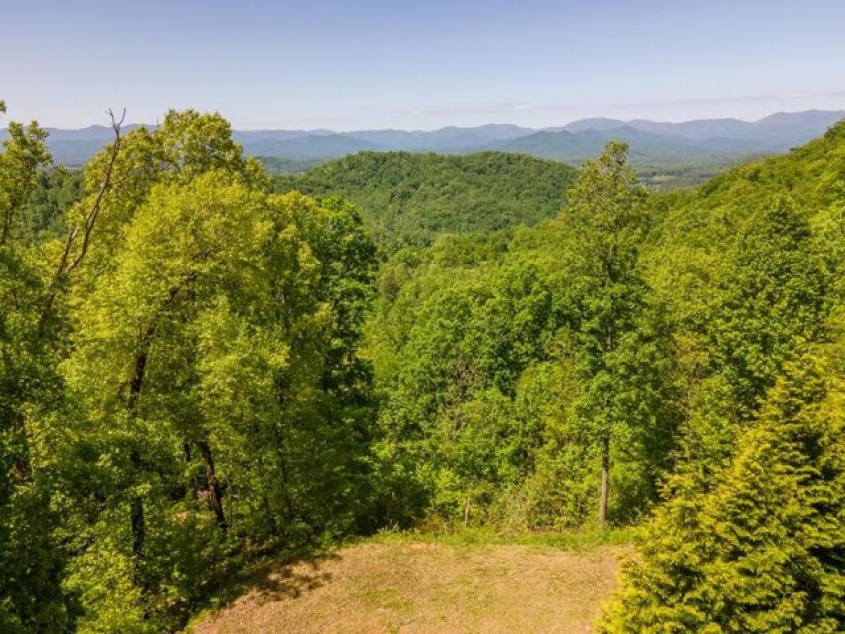 Picture of Residential Land For Sale in Franklin, North Carolina, United States