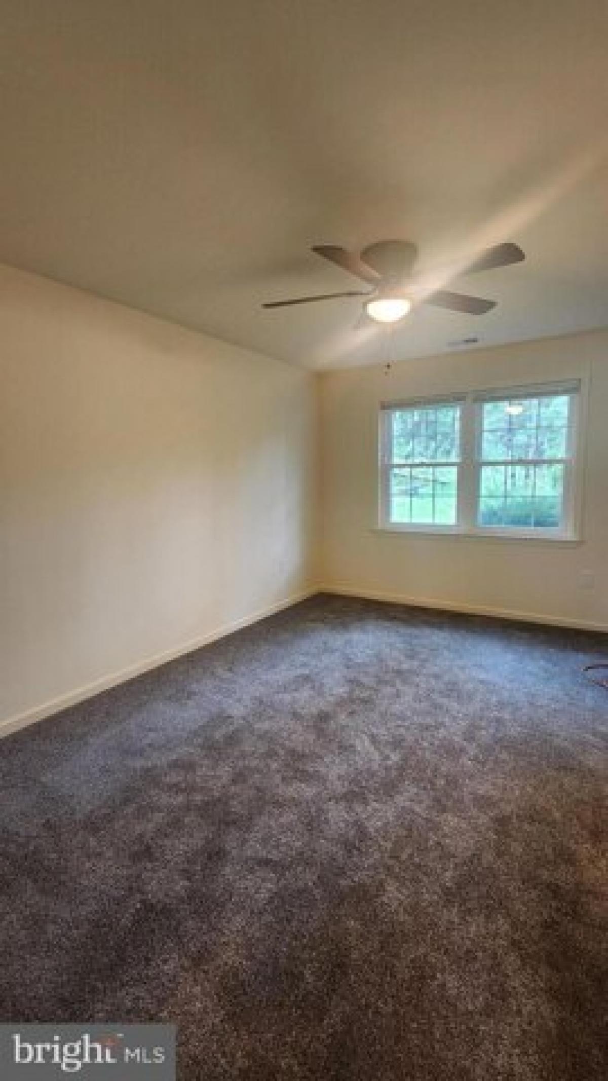 Picture of Apartment For Rent in Birdsboro, Pennsylvania, United States