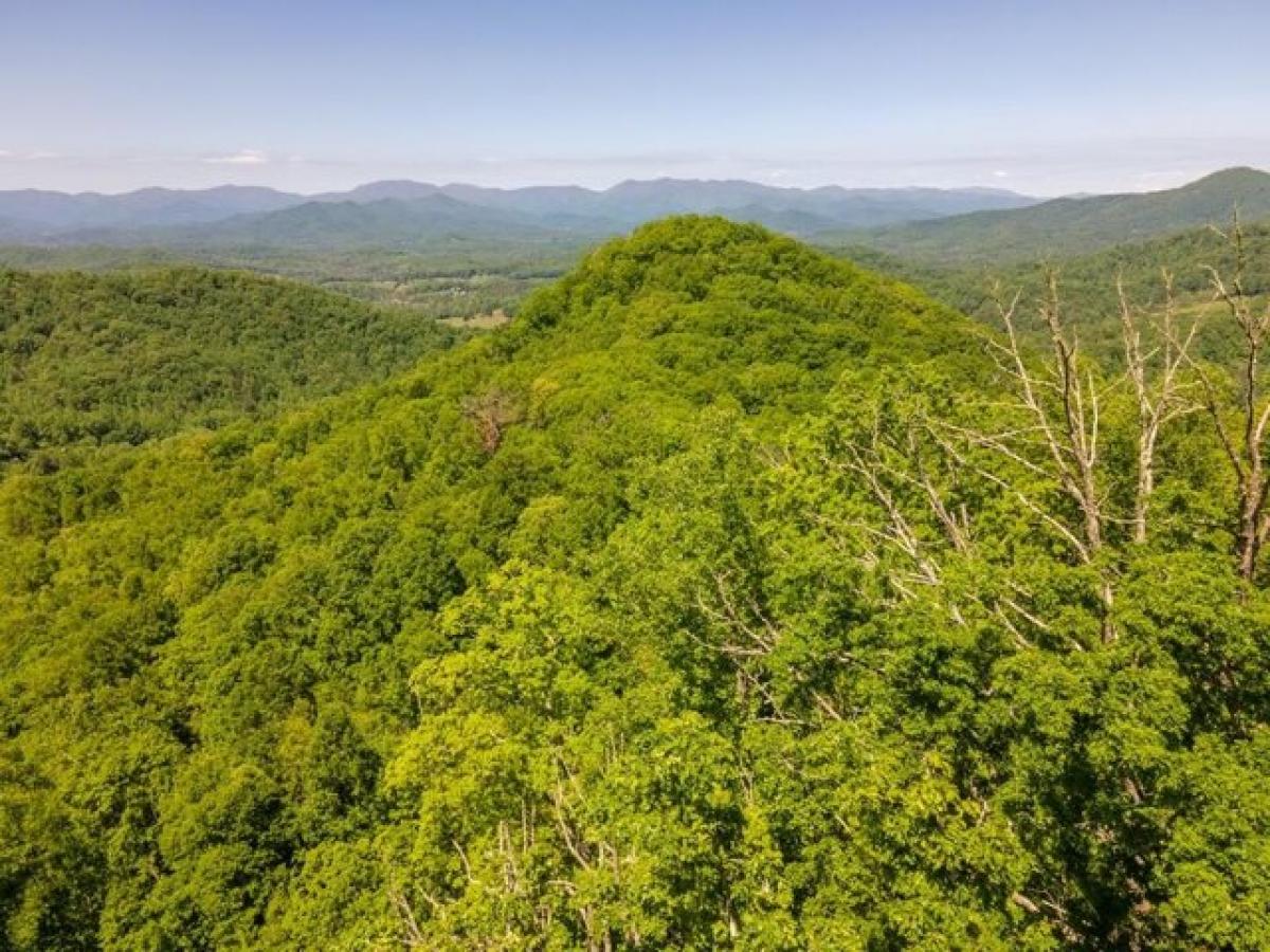 Picture of Residential Land For Sale in Franklin, North Carolina, United States