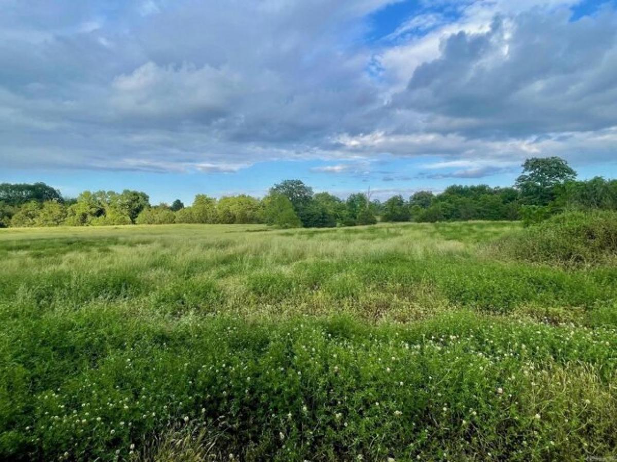 Picture of Residential Land For Sale in Greenbrier, Arkansas, United States