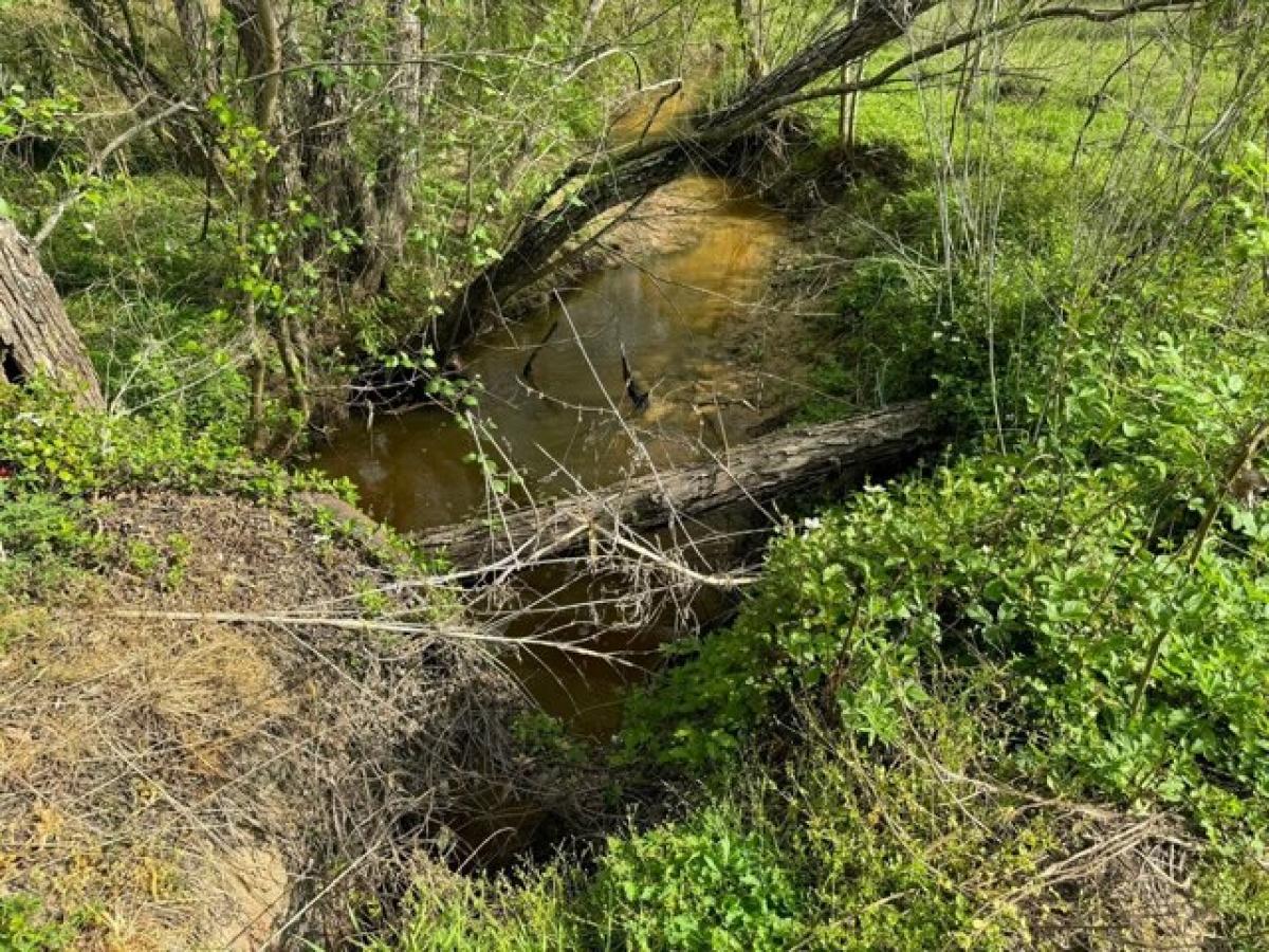 Picture of Residential Land For Sale in El Campo, Texas, United States