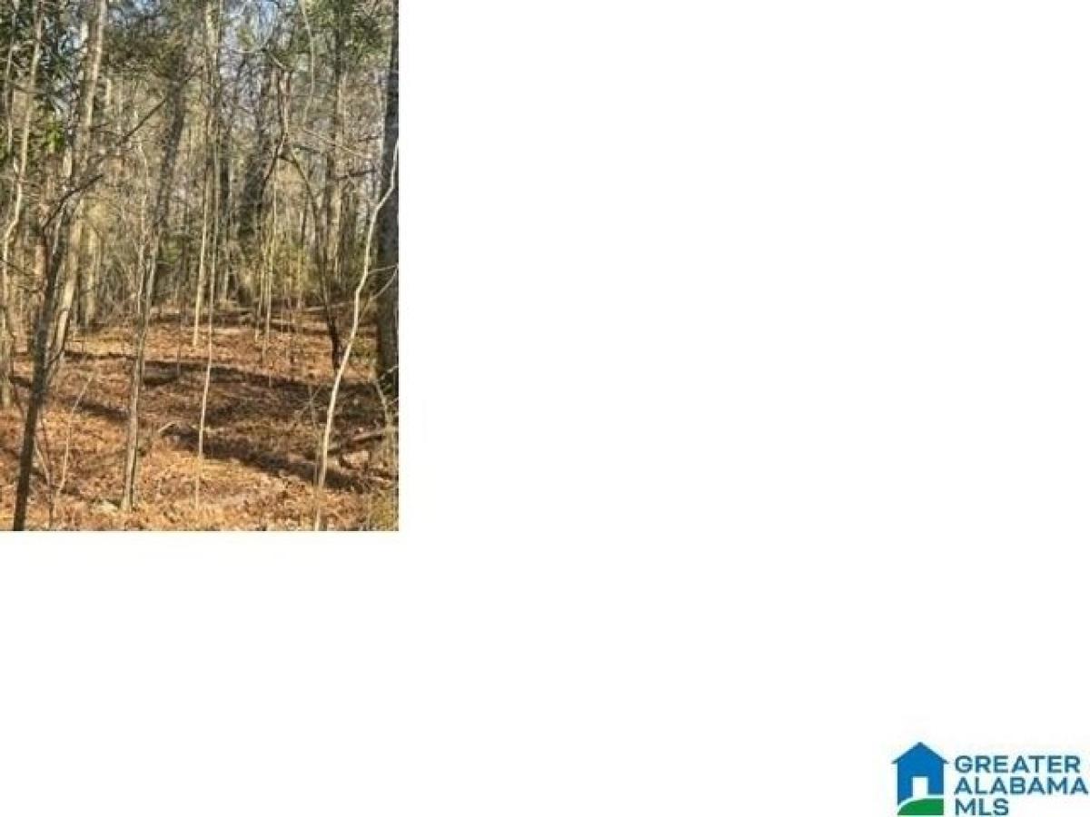 Picture of Residential Land For Rent in Alpine, Alabama, United States